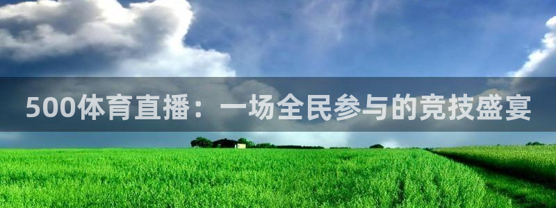 500体育直播：一场全民参与的竞技盛宴