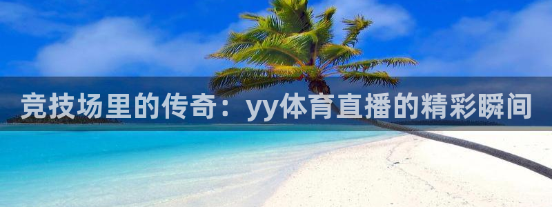 竞技场里的传奇：yy体育直播的精彩瞬间
