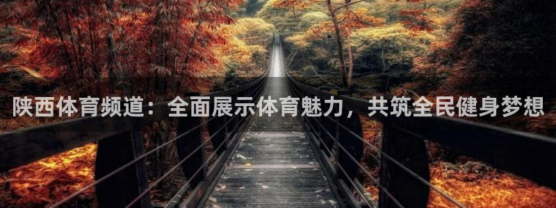 陕西体育频道：全面展示体育魅力，共筑全民健身梦想