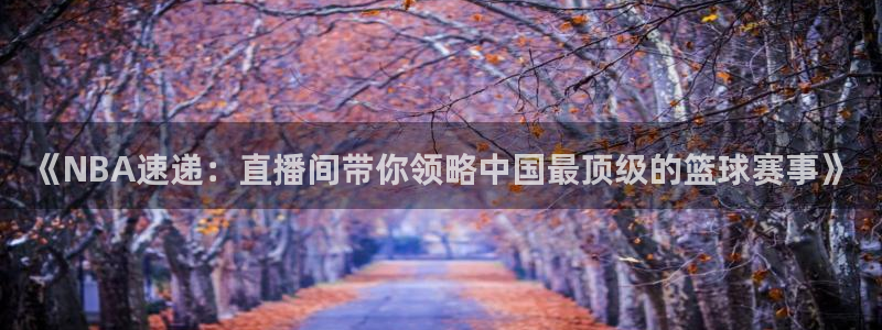 《NBA速递：直播间带你领略中国最顶级的篮球赛事》
