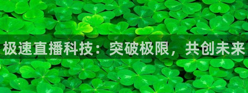 极速直播科技：突破极限，共创未来