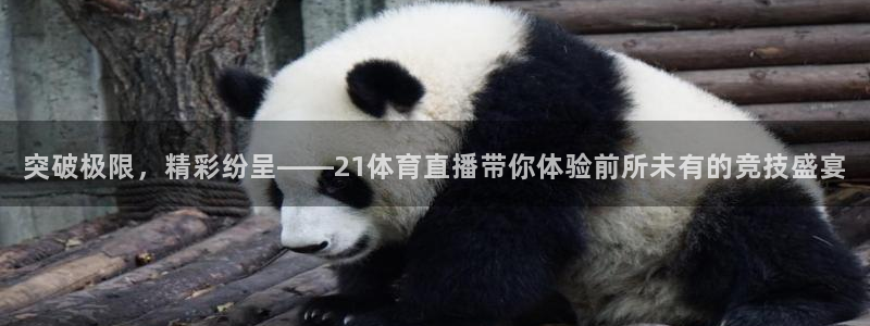 突破极限，精彩纷呈——21体育直播带你体验前所未有的竞技盛宴