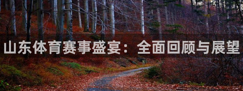 山东体育赛事盛宴：全面回顾与展望