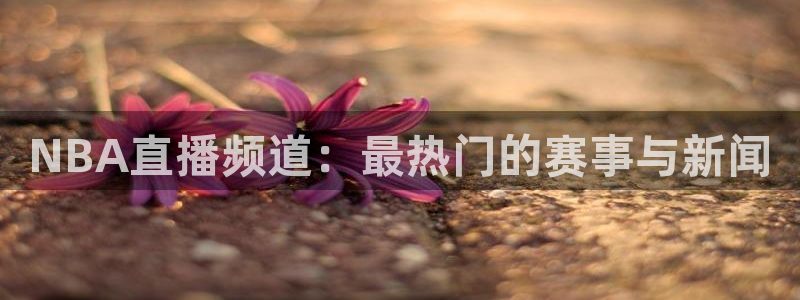 NBA直播频道：最热门的赛事与新闻