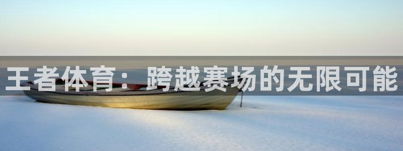 王者体育：跨越赛场的无限可能