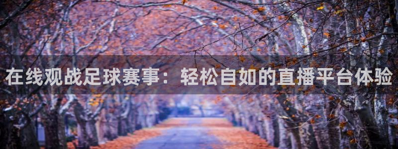 2025年乒乓球世界杯：在线观战足球赛事：轻松自如的直播平台体验