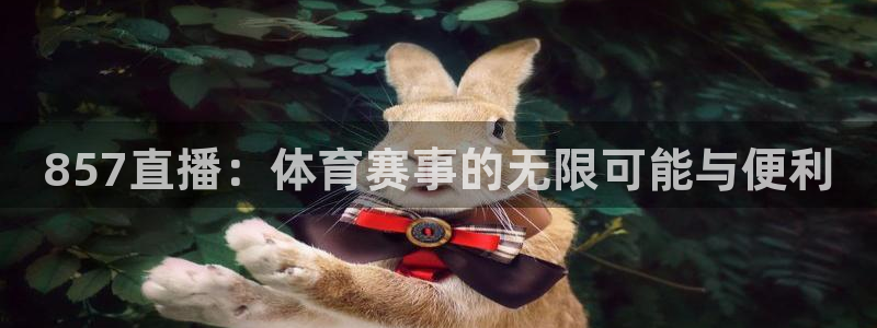 世界杯预选赛意大利：857直播：体育赛事的无限可能与便利