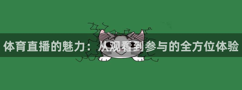 2018年世界杯足球图片：体育直播的魅力：从观看到参与的全方位体验