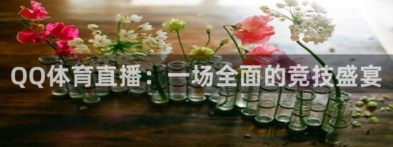 2019女排世界杯完整视频：QQ体育直播：一场全面的竞技盛宴