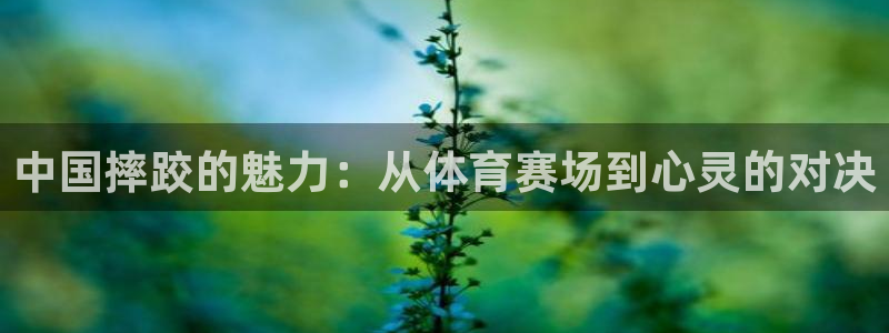 瑞士世界杯预选赛：中国摔跤的魅力：从体育赛场到心灵的对决
