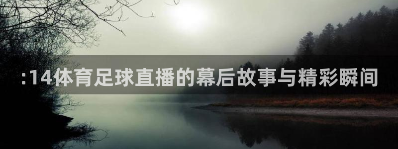 阿根廷世界杯直播：:14体育足球直播的幕后故事与精彩瞬间