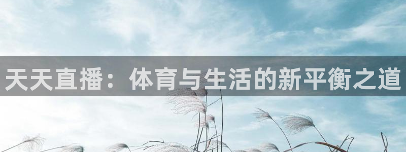 18世界杯日本战绩：天天直播：体育与生活的新平衡之道