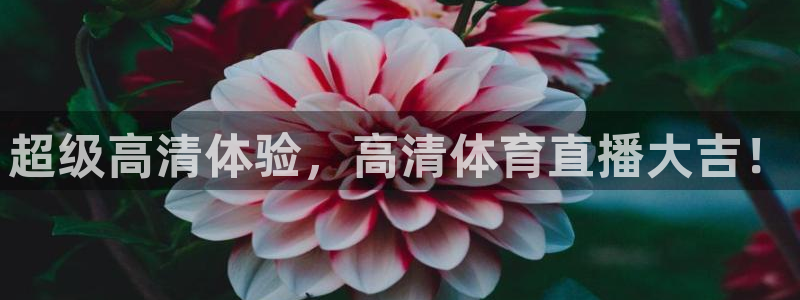 世界杯直播权是谁给的：超级高清体验，高清体育直播大吉！